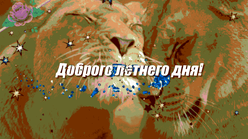Открытка - Доброго летнего дня!