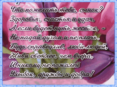 На день рождения Сынуле