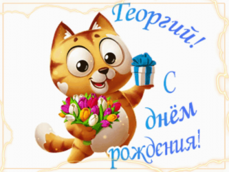Фотография кота, держащего синюю коробку-подарок и празднующего вместе со шампанским. кнопка в баннере «великие поздравления!»